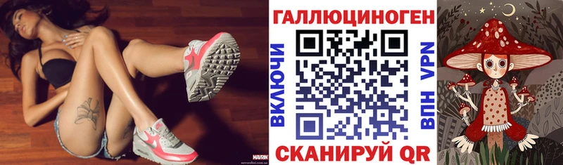 Купить  Любань  Галлюциногенные грибы Cubensis 